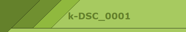 k-DSC_0001