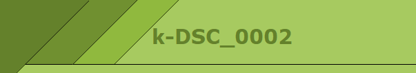 k-DSC_0002