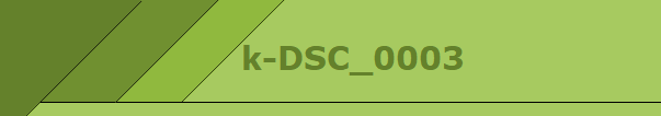 k-DSC_0003