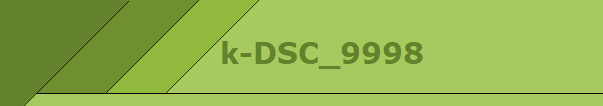 k-DSC_9998