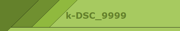 k-DSC_9999